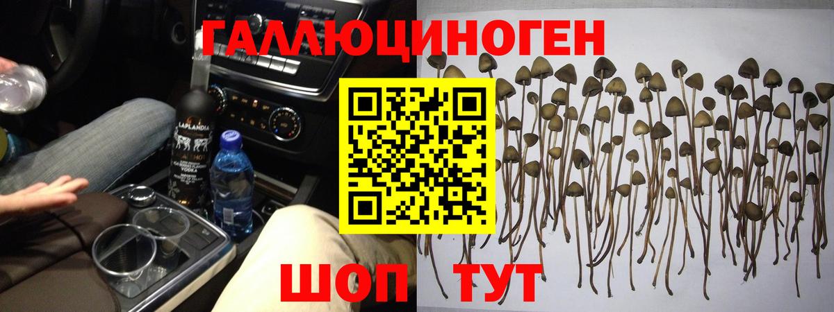 Псилоцибиновые грибы Magic Shrooms Краснодар