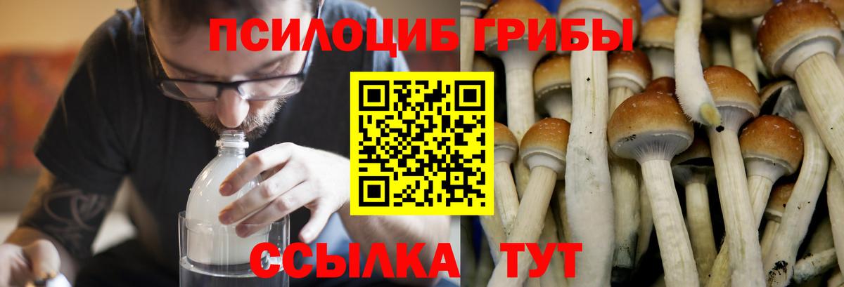 Псилоцибиновые грибы ЛСД  Вход с VPN  где можно купить   Краснодар 